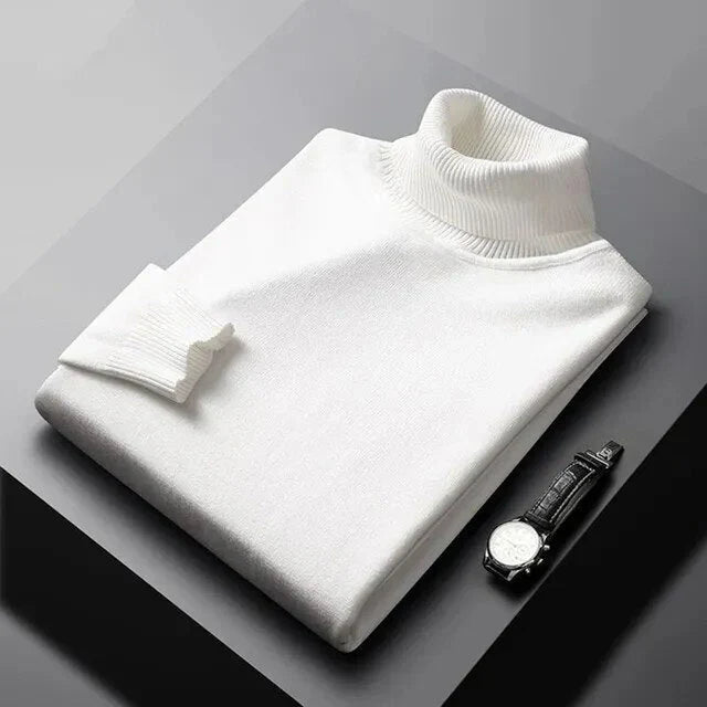 Aldene Turtleneck