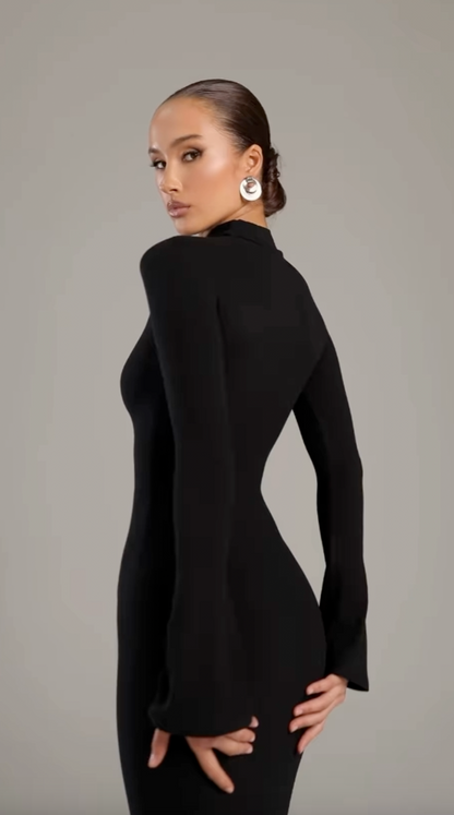 Noire Turtleneck Maxi Dress